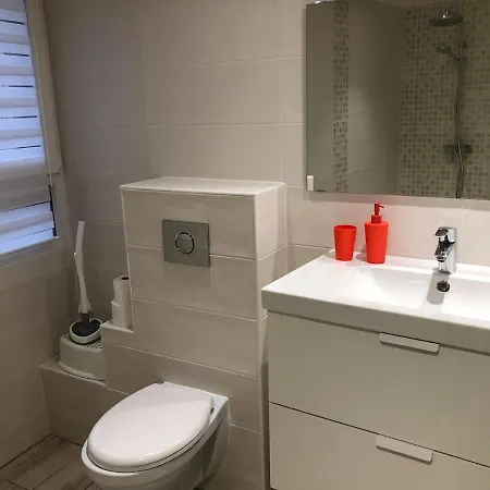 Le Colmarien Apartment Colmar